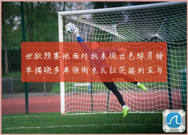 世欧预赛地面对抗表现出色球员榜单揭晓多库领衔克瓦拉茨赫利亚与布拉德利紧随其后