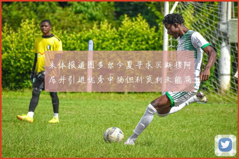米体报道图多尔今夏寻求买断穆阿尼并引进优秀中场但科莫利未能满足要求