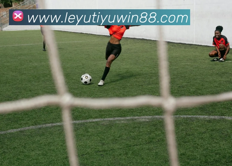 乐鱼体育APP 封面图